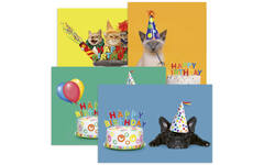 Miniposter 1086 Party animals 4 motieven, 20 stuks