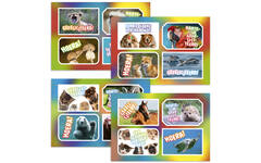 Ansichtkaarten 5760 Felicitatiedieren 4 motieven, 48 kaarten