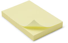 Memo notitieblaadjes 51 x  76 mm 12 stuks