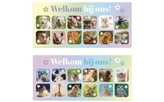 Oproepkaarten 5291 algemeen Lente Diertjes, 2 motieven, 25 stuks