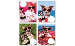 Schriften 24-2,5, selfie hond, 16,5 x 21 cm, 80 gr (25 stuks)