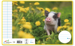 Schriften 4,5-3-4,5, jonge dieren, 16,5 x 21 cm, 80 gr (25 stuks)