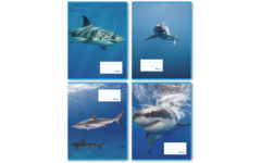 Schriften commerciaal 4x7,5 mm, haaien, 16,5 x 21 cm, 80 gr (25 stuks)