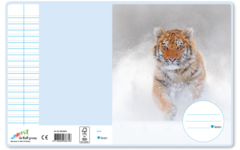 Schriften 6-3-6, dieren in de sneeuw, 16,5 x 21 cm, 80 gr (25 stuks)