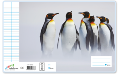 Schriften 6-4-6, pinguïns, 16,5 x 21 cm, 80 gr (25 stuks)