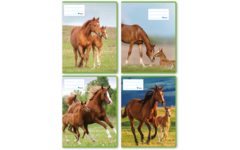 Schriften 6-4-6, paarden met jong, 16,5 x 21 cm, 80 gr (25 stuks)
