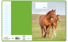 Schriften 6-4-6, paarden met jong, 16,5 x 21 cm, 80 gr (25 stuks)