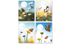 Schriften 7,5-5-7,5, vlinders, 16,5 x 21 cm, 80 gr