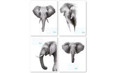 Schriften 7,5-5-7,5, olifant, 16,5 x 21 cm, 80 gr (25 stuks)