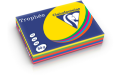 Kopieerpapier A4 Trophee intensief assorti 80 grams, 500 vel